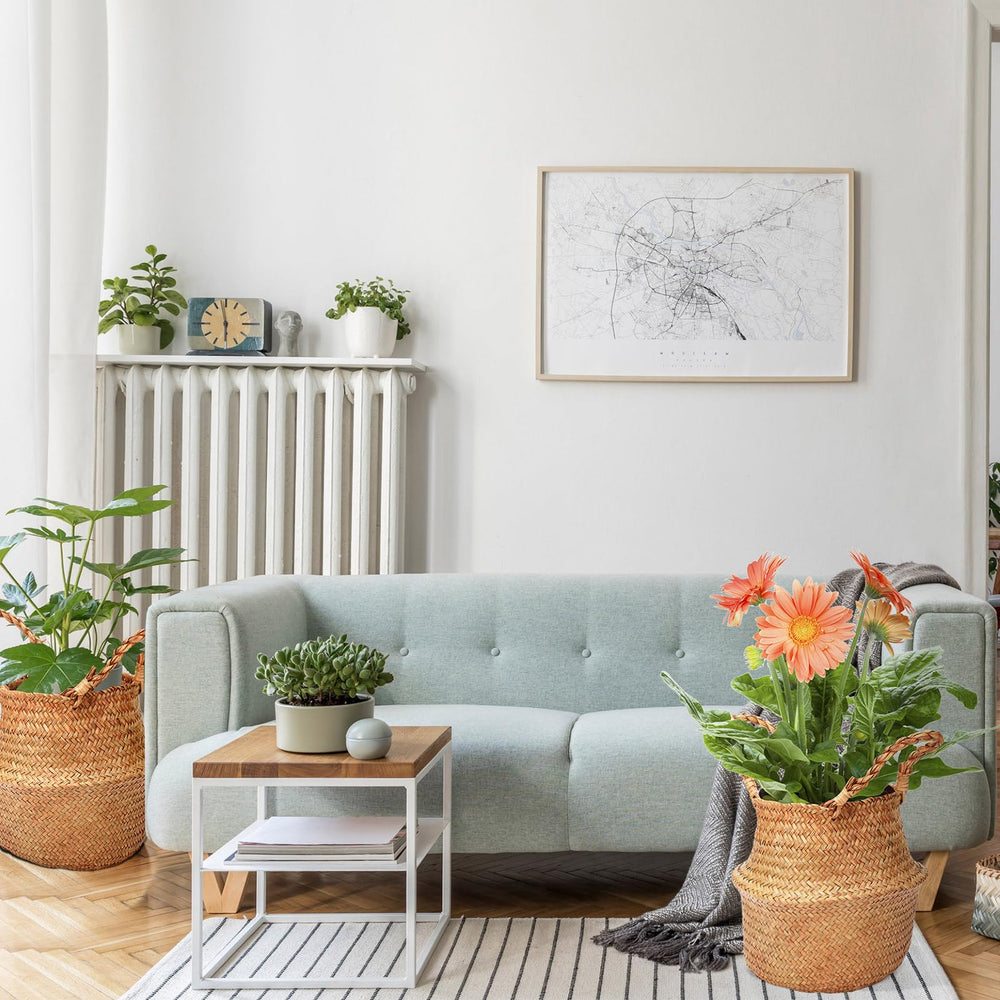 Qunclay styled in living room showing warm decor enhancement benefit