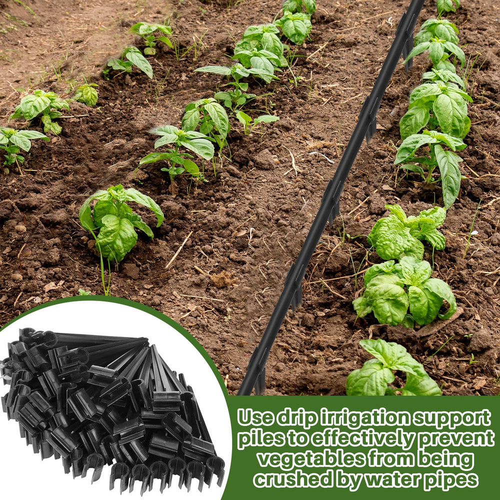 Quzzil staked irrigation lines in a greenhouse keeping emitters positioned