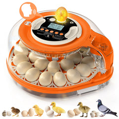 QVKHPCL front view showing incubator capacity and compact footprint