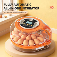 QVKHPCL transparent lid with LED candler showing embryo monitoring benefit