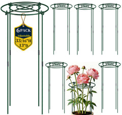 QwayHome front view of assembled cage showing sturdy support and neat blooms