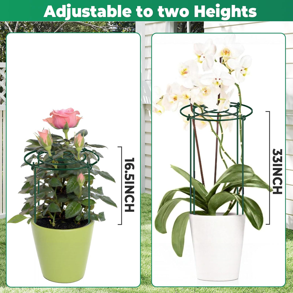 QwayHome demonstrating height adjustment for seedlings to mature plants