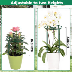 QwayHome demonstrating height adjustment for seedlings to mature plants