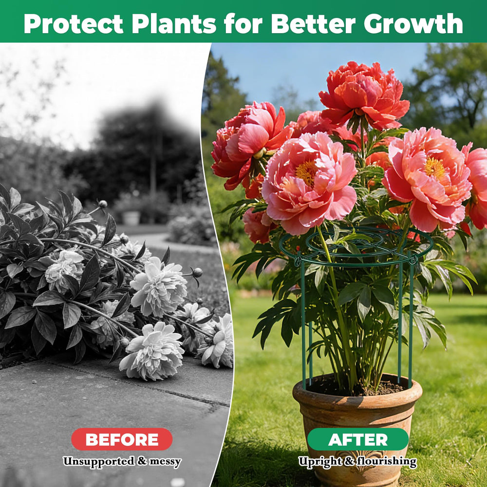 QwayHome peony supported by cage preventing flopping and stem damage