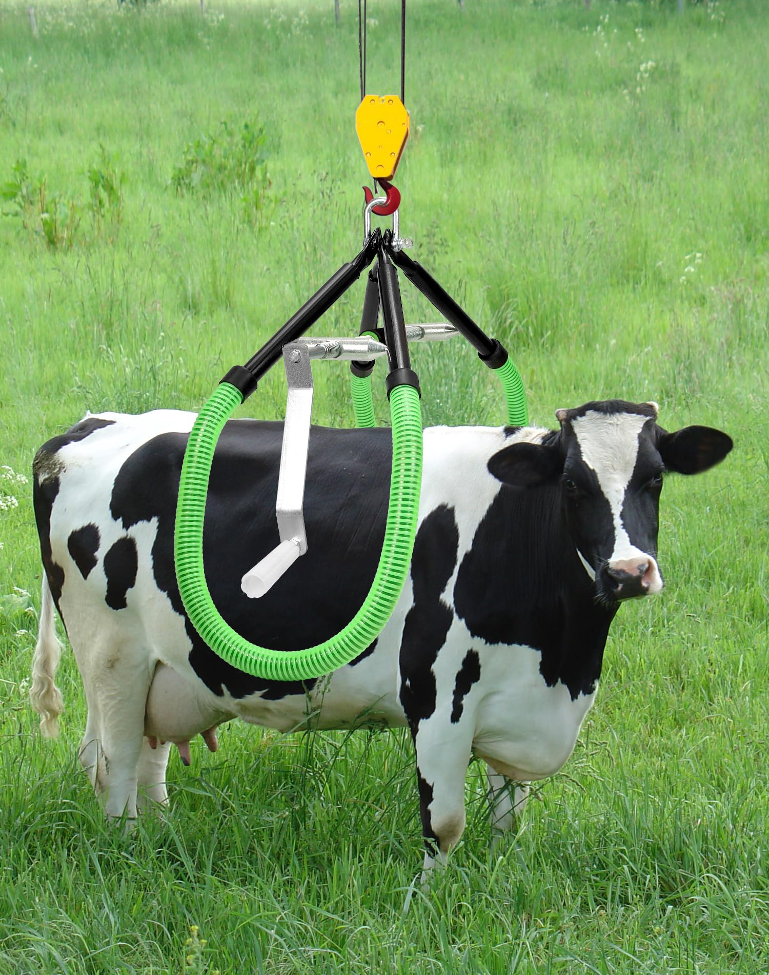 QWORK size comparison beside cow illustrating scale and lifting capacity