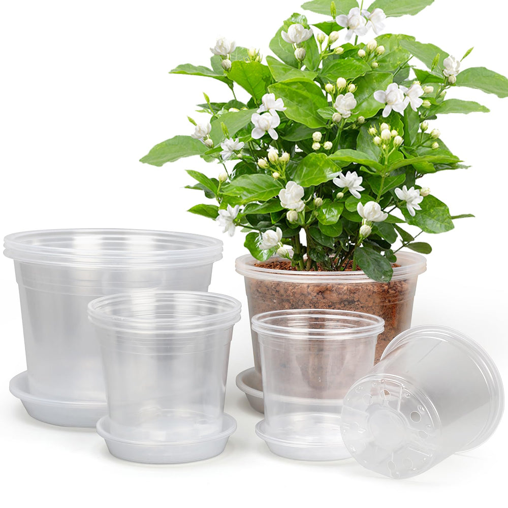 RAOOKIF front view of 12 clear nursery pots with saucers, versatile set benefit