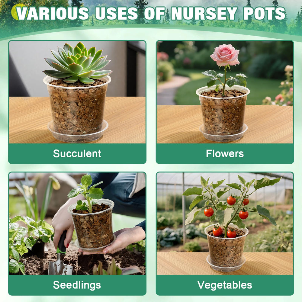RAOOKIF group of 5,6,8,10 inch pots for quick size selection benefit
