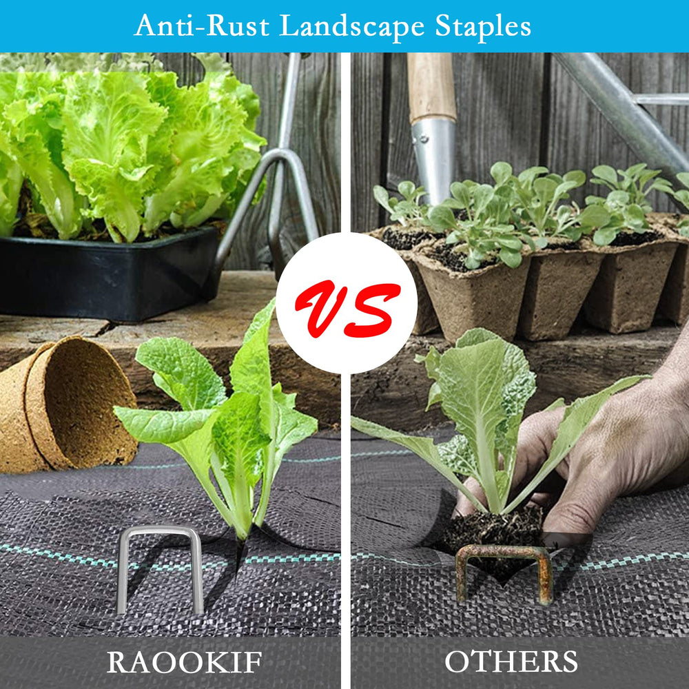 RAOOKIF staples anchored in artificial turf providing secure edge hold