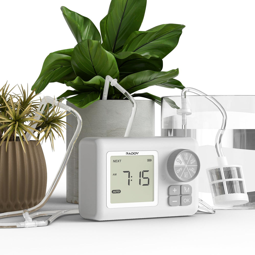 Raddy WS-6 front setup showing components and tidy layout benefits convenience