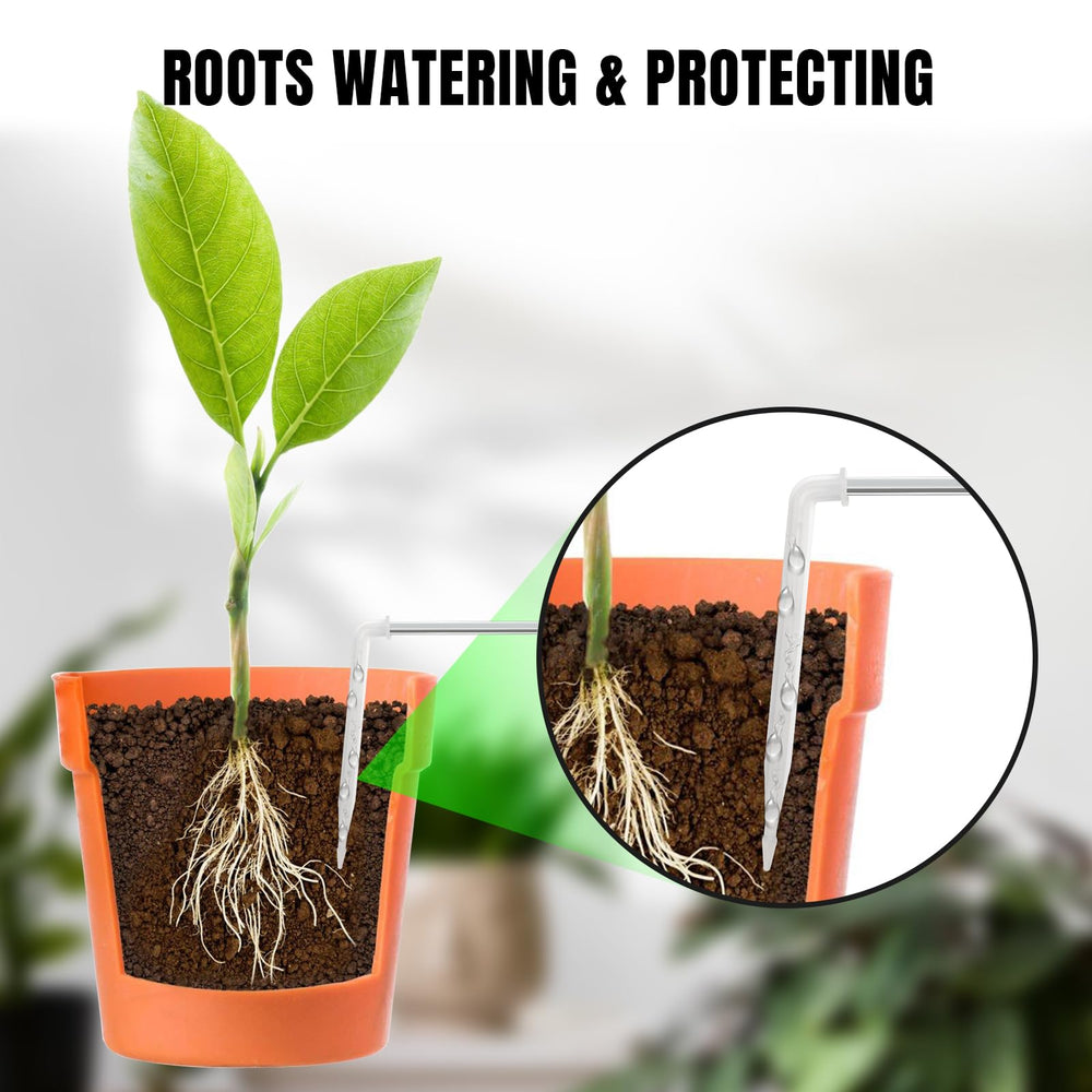 Raddy WS-6 scale with 15 pots showing full-coverage capacity and space efficiency