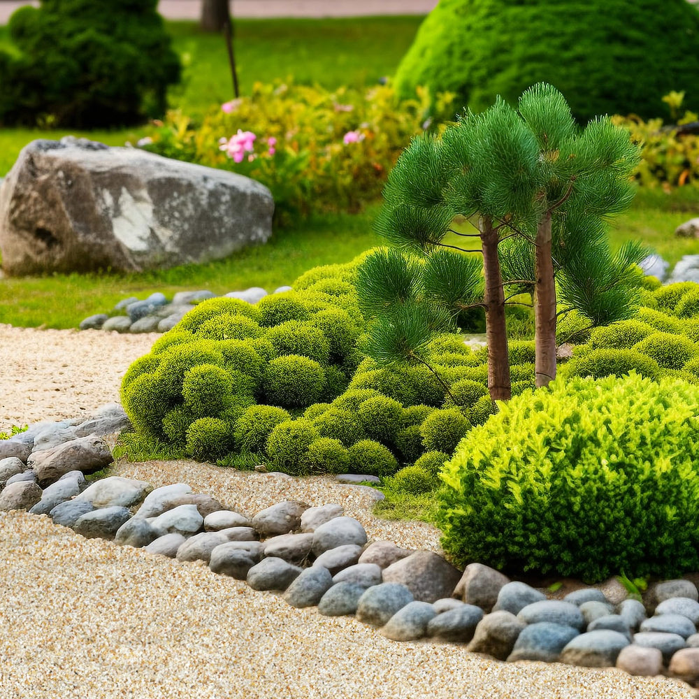 Rahato sand used on garden pathway offering durable, fade-resistant ground cover