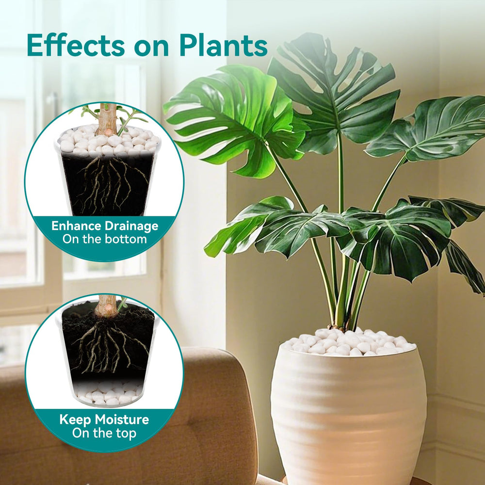 Rahato white rocks used on a plant pot enhancing visual appeal benefit