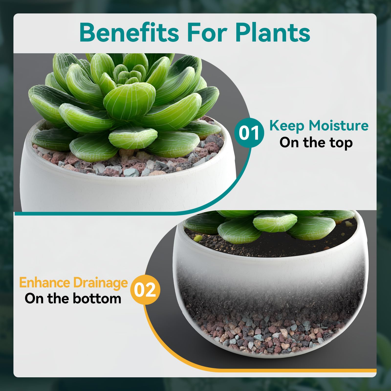 Rahato topdressed succulent pot demonstrating neat surface and moisture control