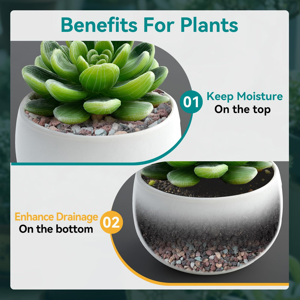 Rahato topdressed succulent pot demonstrating neat surface and moisture control