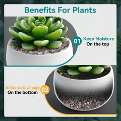 Rahato topdressed succulent pot demonstrating neat surface and moisture control