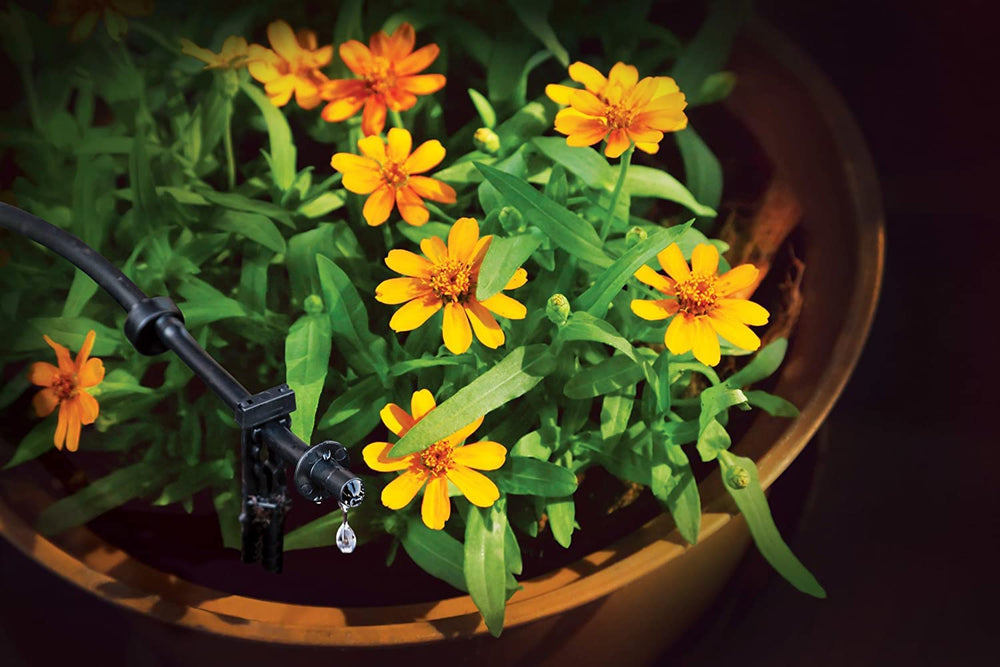 Rain Bird installed watering multiple balcony planters showing healthy plants benefit
