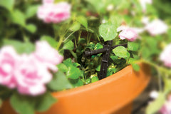Rain Bird close-up of 1.0 and 2.0 GPH emitters showing precise watering benefit