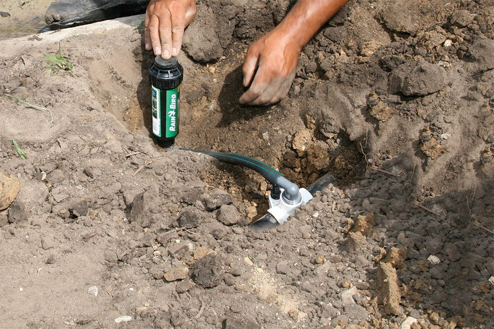 Rain Bird EZ Pipe in lawn setting showing placement around hardscape