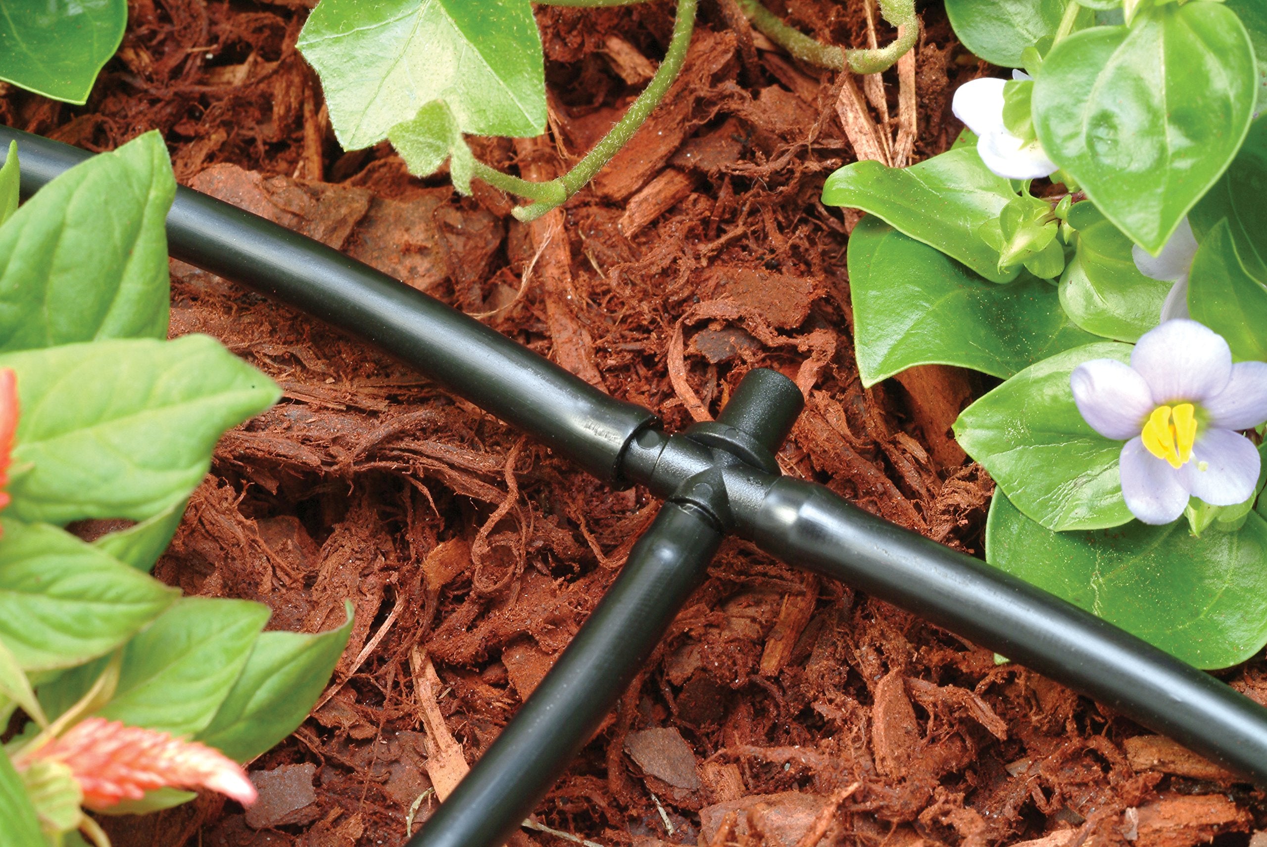 Rain Bird drip kit in a garden bed being installed, adds targeted plant watering