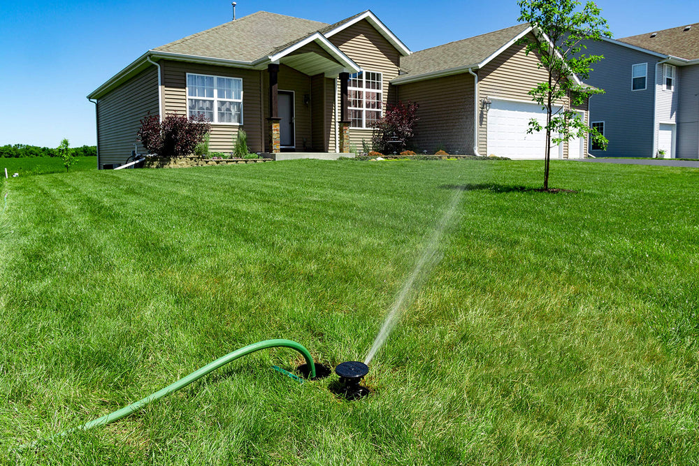 Rain Bird LG3HE raised 3-inch pop-up clearing tall grass for even watering
