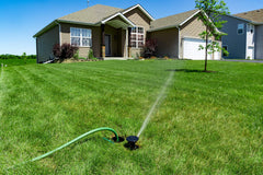 Rain Bird LG3HE raised 3-inch pop-up clearing tall grass for even watering