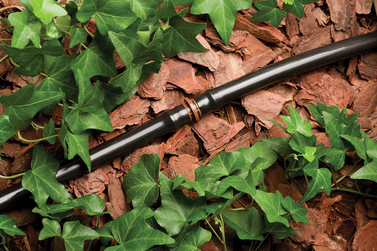 Rain Bird pressure regulator and backflow preventer protecting system
