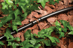 Rain Bird pressure regulator and backflow preventer protecting system