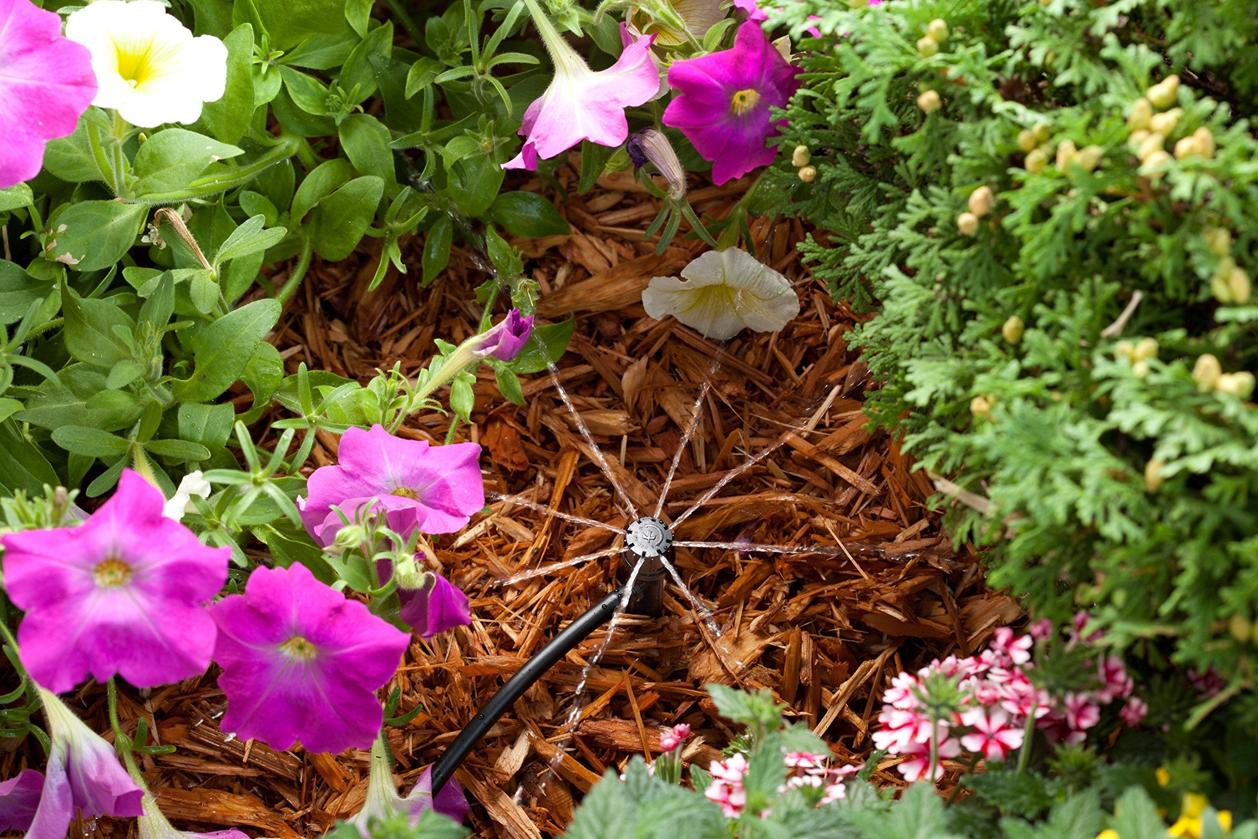 Rain Bird stakes and fittings next to a ruler showing component scale