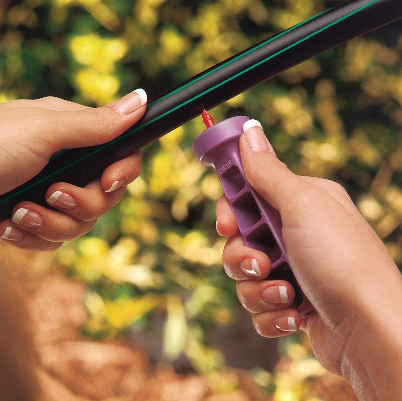 Rain Bird tubing stake with bug cap installed, holds tubing steady and protected