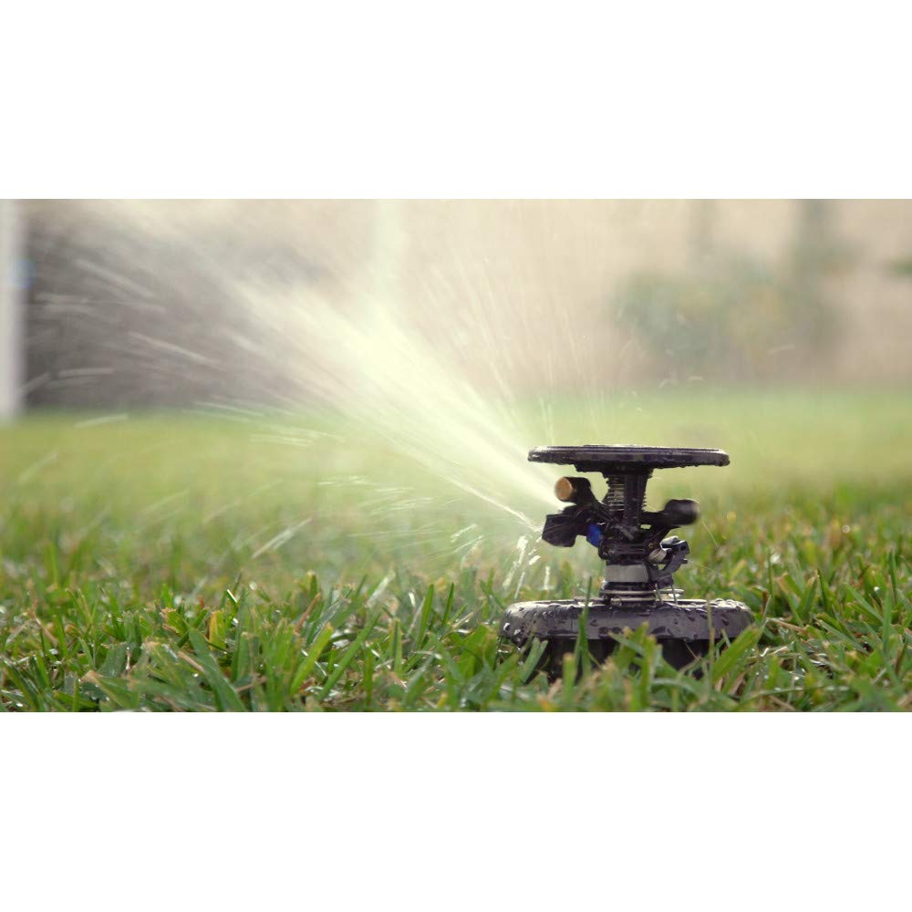 Rain Bird Maxi-Paw popping up in a lawn demonstrating dependable repeated operation