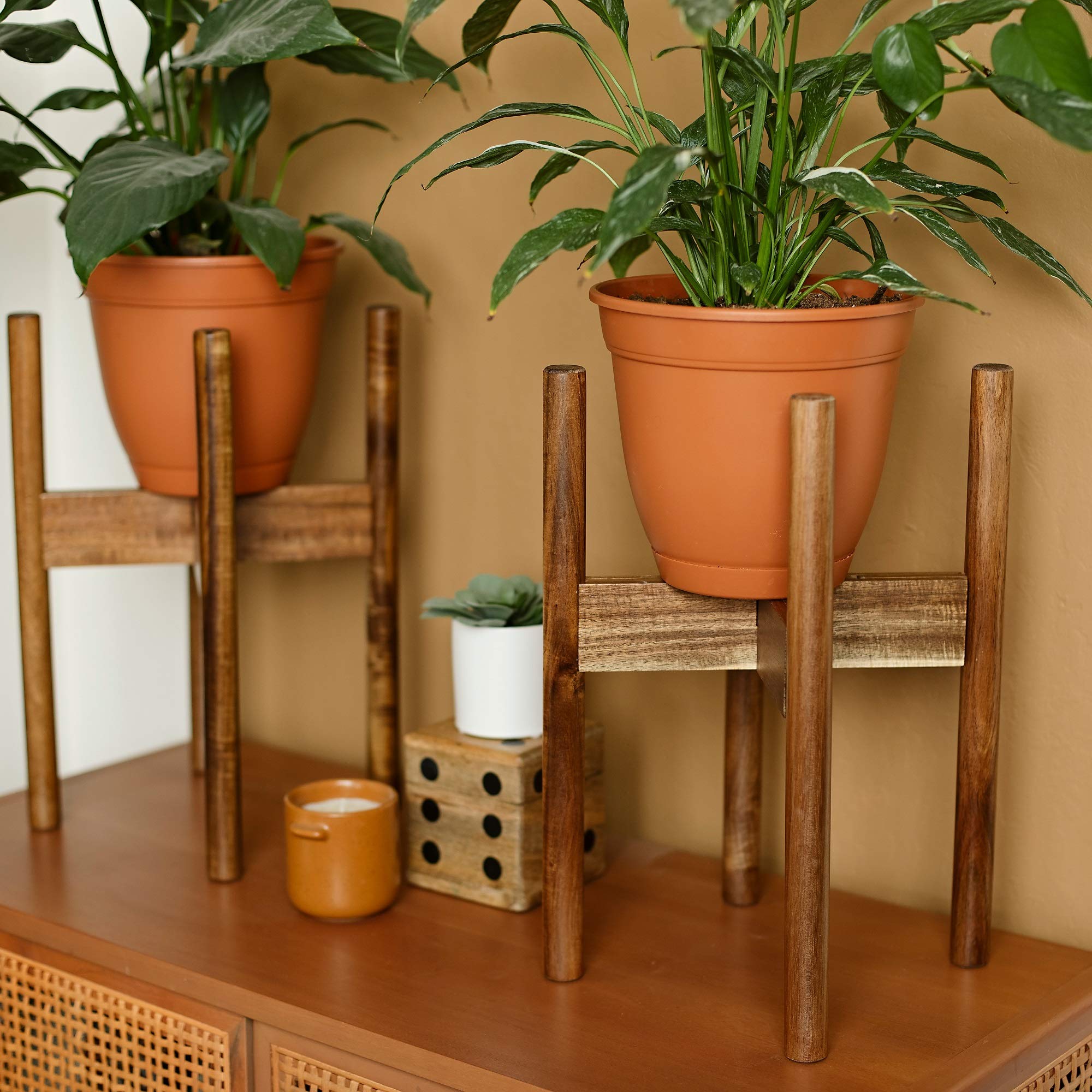RAINBLELAND laid-out components showing easy assembly and clear parts organization