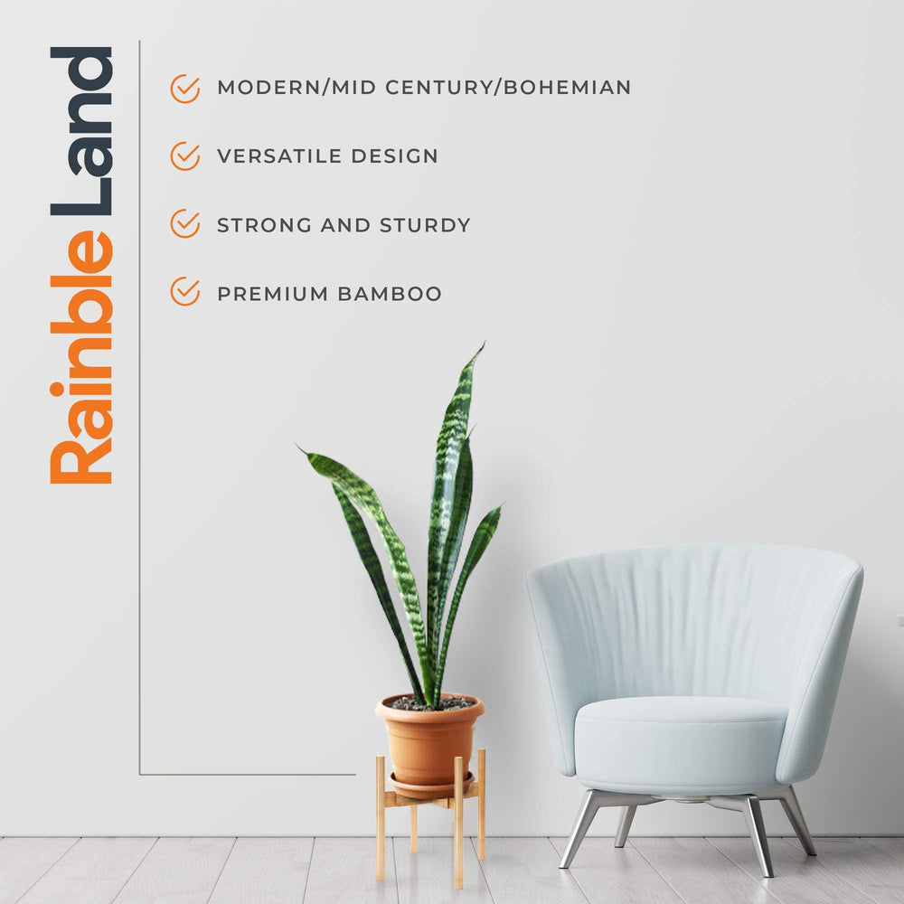 RAINBLELAND lifestyle shot in living room shows stylish plant display