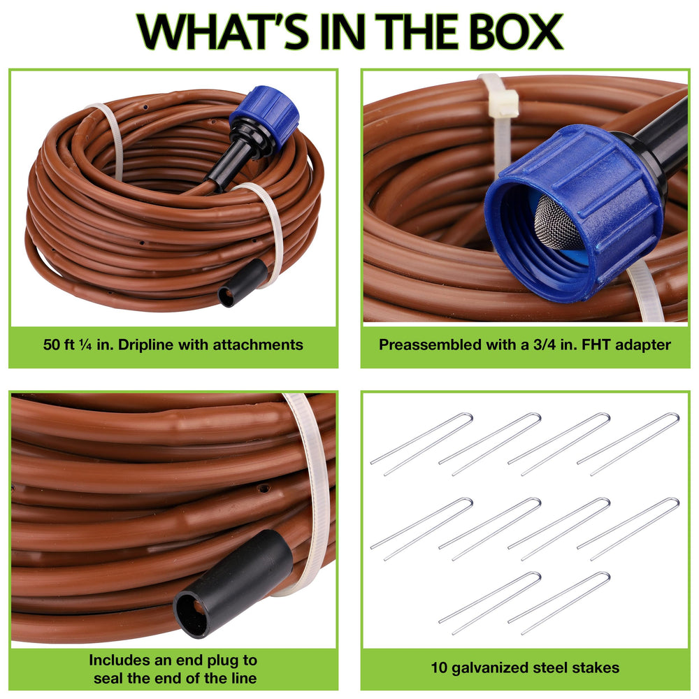 Close-up of Raindrip dripline emitters spaced 12 inches for precise watering