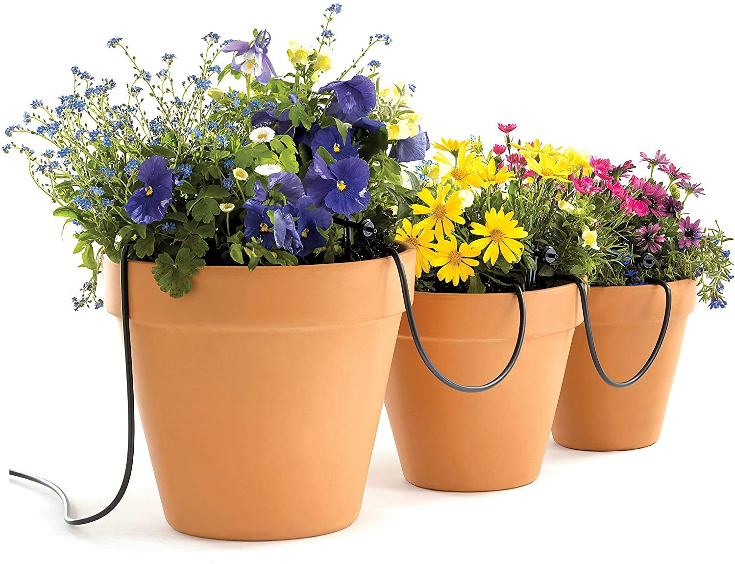 Raindrip supplying hanging baskets highlighting targeted root-zone moisture and water savings