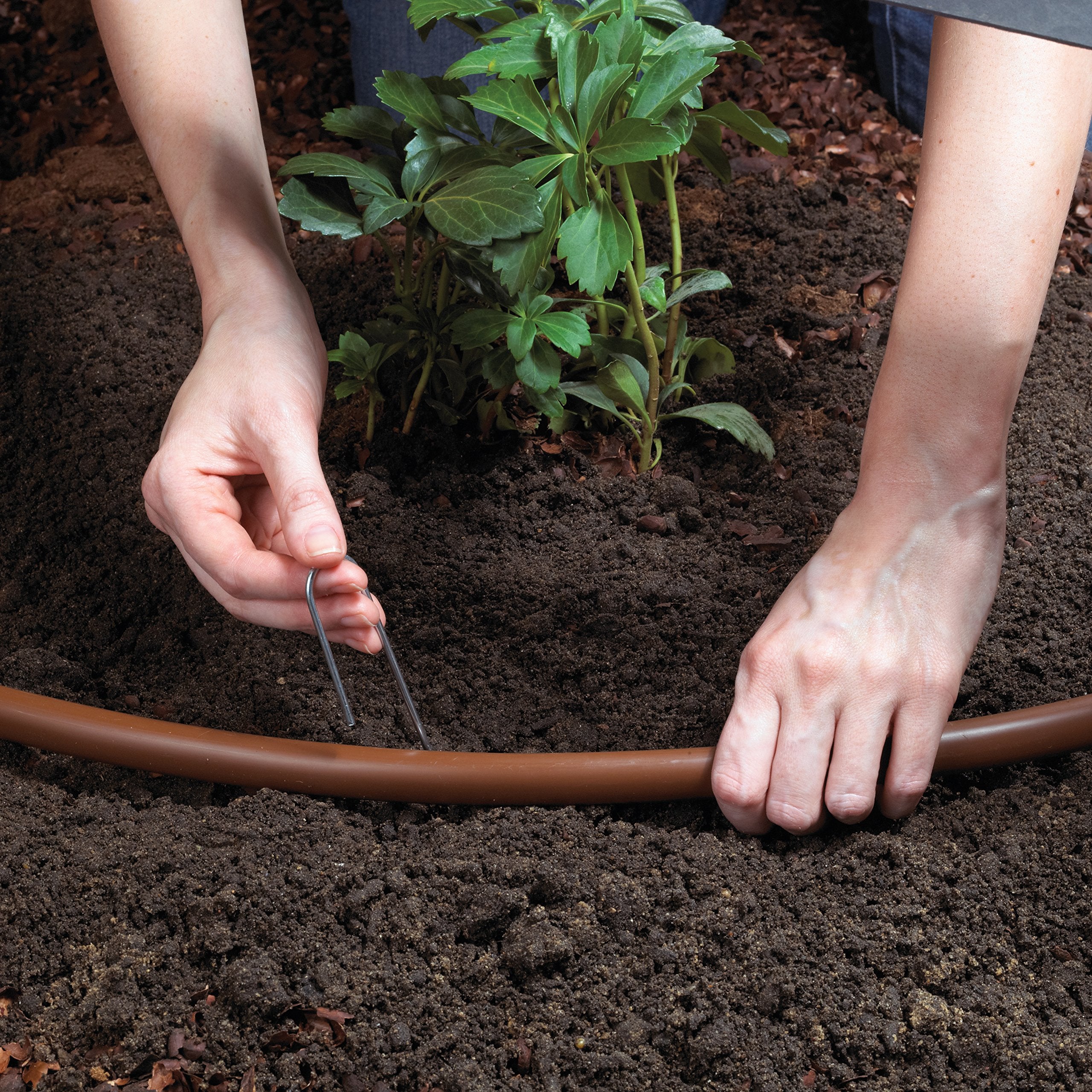 Raindrip half-circle adjustable sprayer installed in flower bed providing even watering