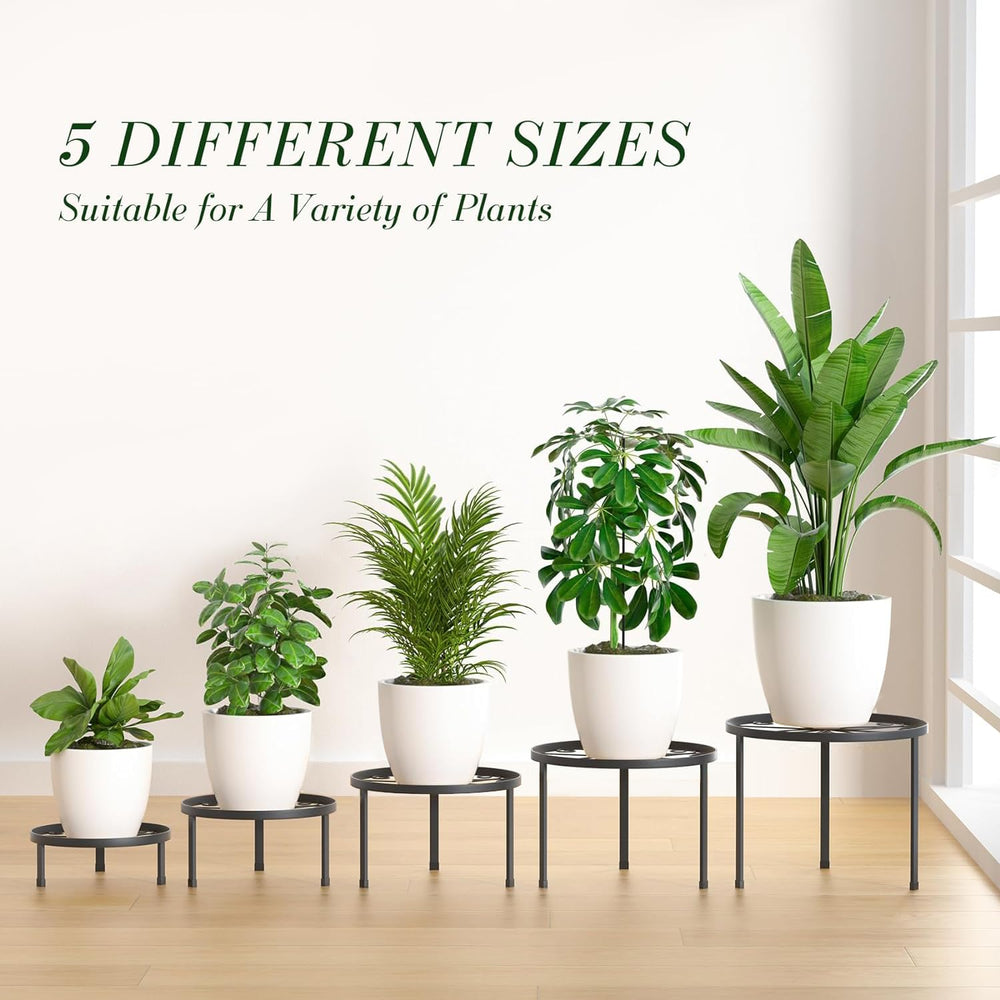 RANRTI height comparison of five stands illustrating tiered styling and varied plant placement
