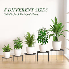 RANRTI height comparison of five stands illustrating tiered styling and varied plant placement