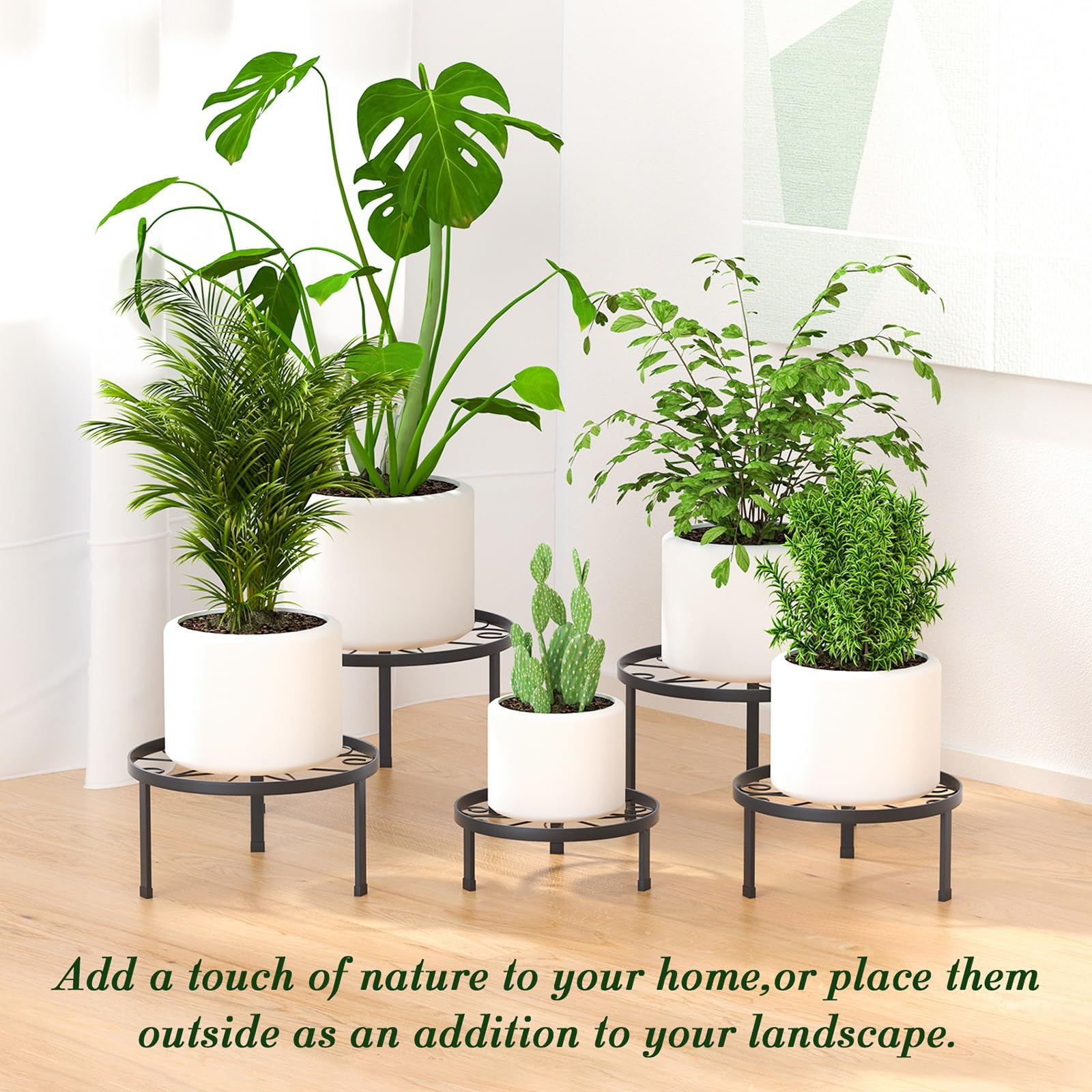 RANRTI living room display with plants adding vertical interest and saving floor space