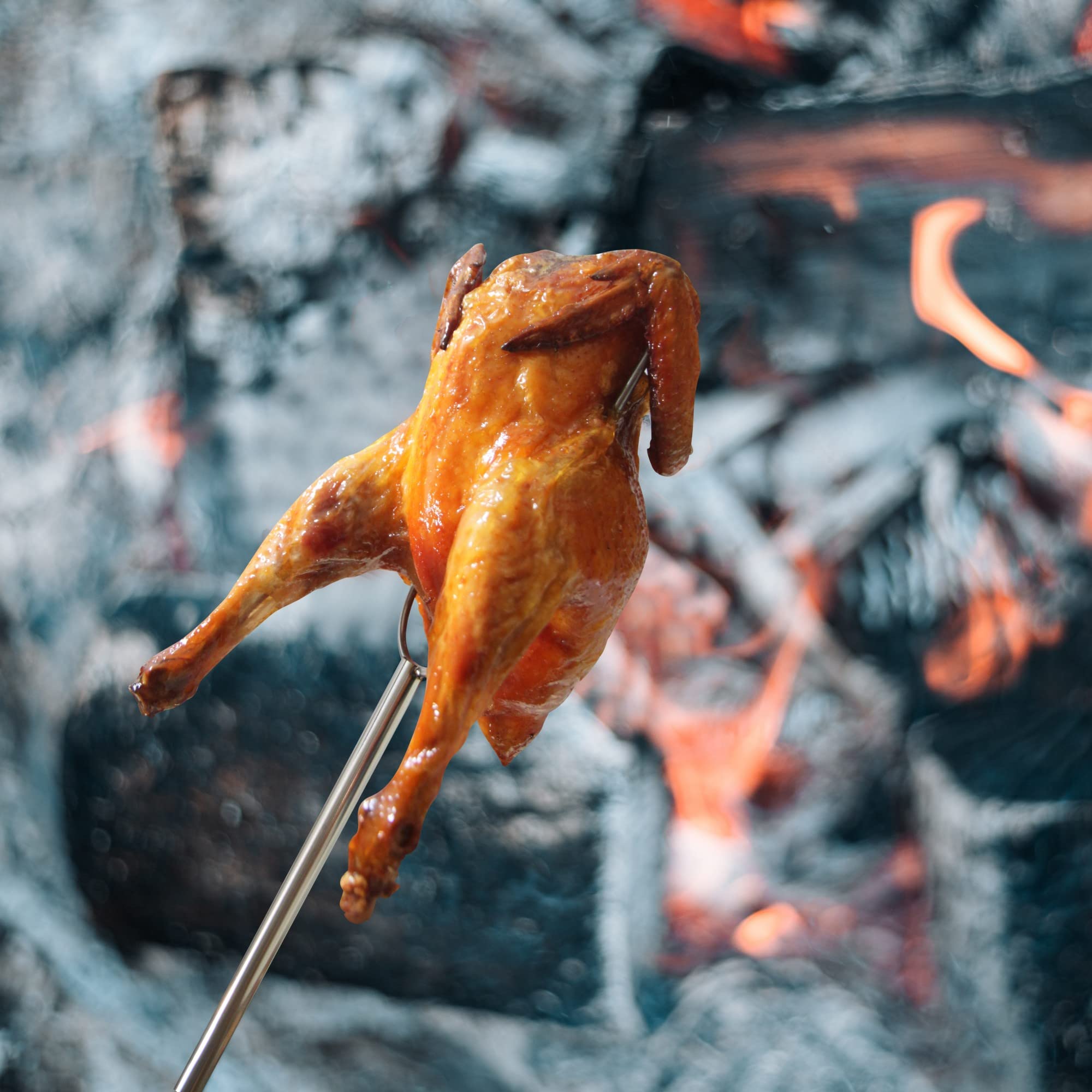 RAOMEIDE family using sticks at campfire showing safe communal roasting and fun