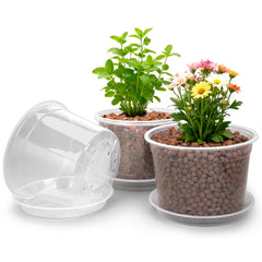RAOOKIF front view of 10 inch pot showing clean design and stability