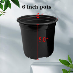 RAOOKIF close-up of bottom drainage holes, improves root health