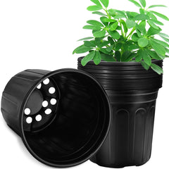 RAOOKIF front view of 12-pack pots showing neat packaging and space-saving benefit