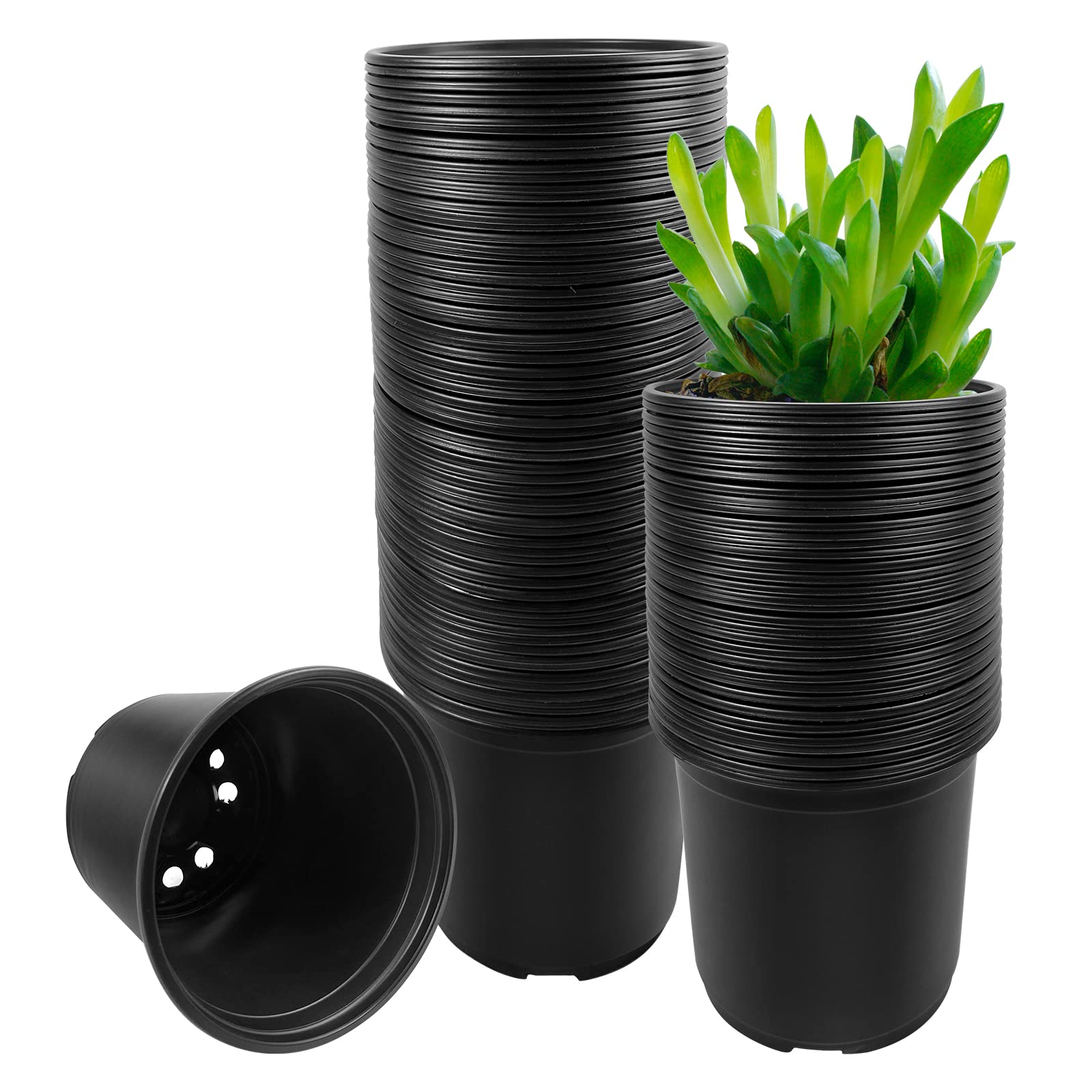 RAOOKIF front view showing full 100-pack black pots, efficient storage