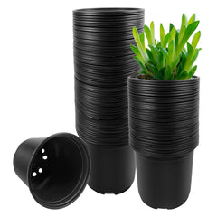 RAOOKIF front view showing full 100-pack black pots, efficient storage