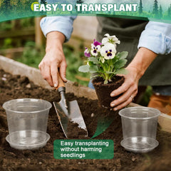 RAOOKIF pots in use with cuttings demonstrating easy propagation