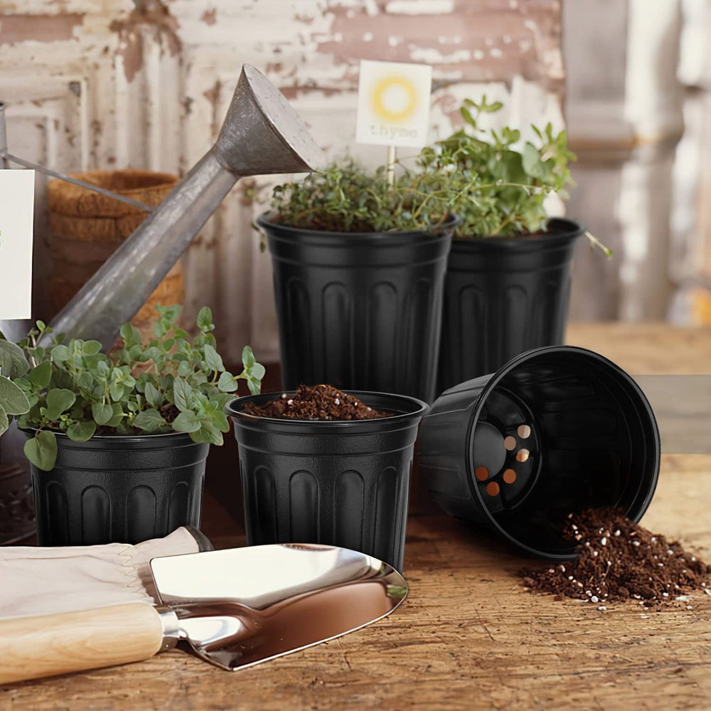 RAOOKIF hand holding pot to show scale and easy transportability benefit
