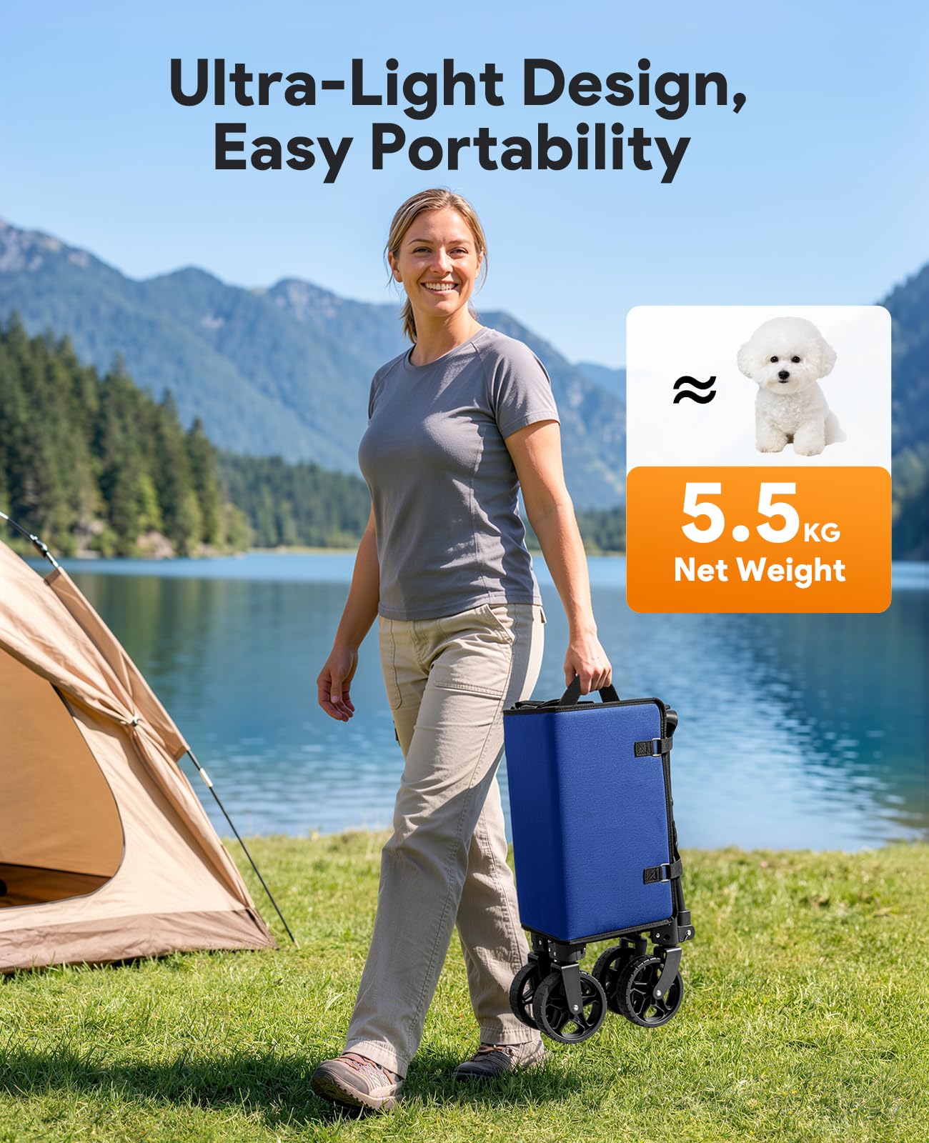 Raynesys at the beach with camping gear showing easy sand mobility