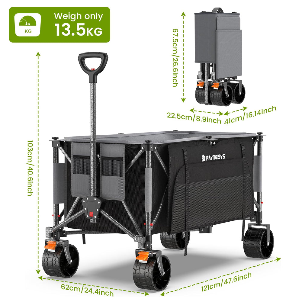 Raynesys hauling groceries to show heavy-duty capacity and convenience