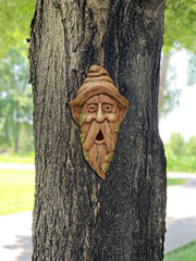 RCS Gifts birdhouse hanging in tree among leaves, demonstrates outdoor use and instant yard personality