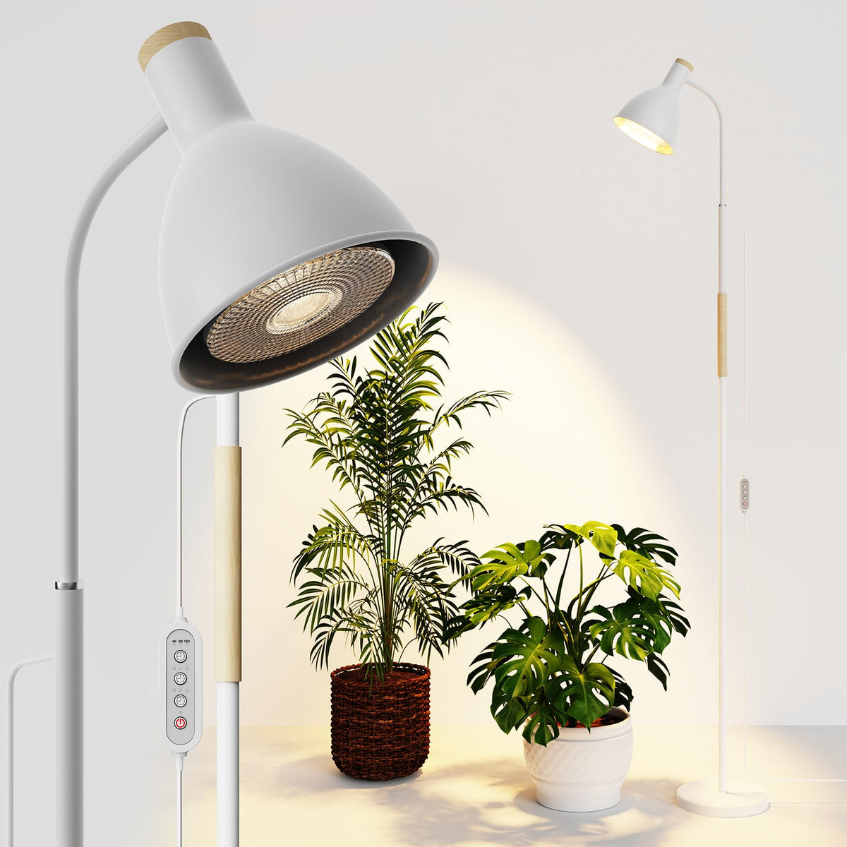 RDJ Bouns front view showing full 75-inch lamp and elegant profile for tall plants